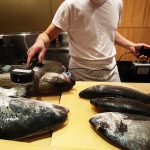 Fish-Tested-for-Radiation