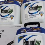 roundup-monsanto-glyphosate