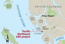 Petronas: First Major Job/Investment Loss Under NDP/Greens by Harvey Oberfeld