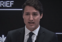 REPORT: Trudeau Liberals Will Lose Support After Tax Attack On Small Businesses