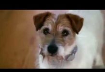 Life Without Petroleum, in a nutshell!