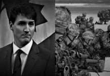Justin Trudeau Is Putting Canadian Troops At Risk In Mali So He Can Brag About Winning A UN Security Council Seat
