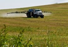 Quebec is restricting use of pesticides that harm fish, bird and bee populations