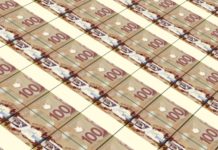 Federal government’s total ‘market debt’ now tops $1 trillion, documents show