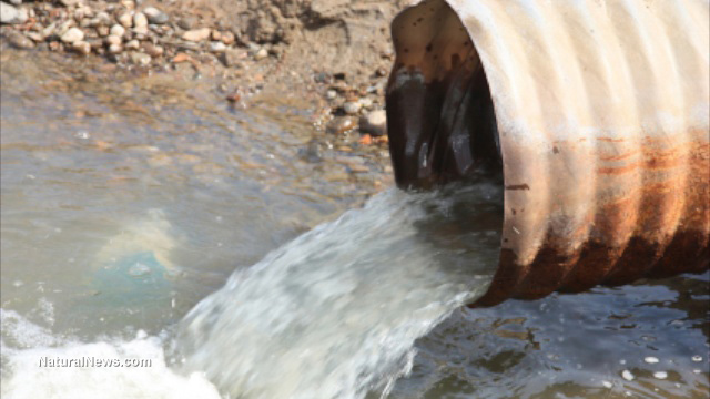 Sewage-Water-Drain-Toxic-Waste