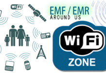 EMFs And RFRs Finally Taken To Court, In Canada That Is