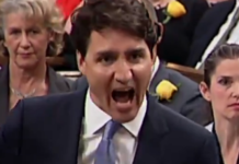 REPORT: The Trudeau Government Has Locked Up CANADIAN Children In Immigration Detention Facilities And Separated Them From Their Parents