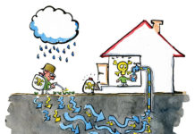 Tough Questions to Ask White Rock Candidates, with Sheryl McCumsey