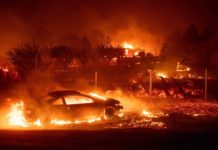 New Video!!! Paradise Lost # 25 ~ How the Houses Were Torched ? Interview with 30-yr. Microwave Engineer