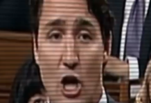 Report Reveals Secret Concerns About Trudeau Government Interfering In Media