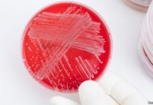 Vaccine researchers are preparing for Disease X