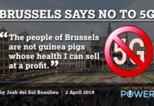 Brussels Becomes First Major City to Halt 5G Due to Health Effects