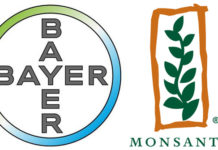 Bayer and Monsanto are facing the music, by Jon Rappoport