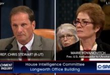LIGHTS OUT: Watch a Defeated Yovanovitch Admit She Has No Knowledge of President Trump Accepting Bribes or Committing Crimes (VIDEO)