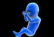 Infants Organs harvested, 76 fetuses, skin, tongue, hearts, vaccine ingredients