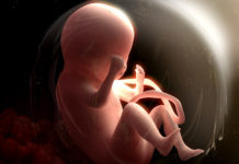 The Awakening to Human Truth – Powerful new video forces Leftists to face the depths of their own anti-human EVIL