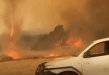 Australian Police Say Arsonists & Lightning to Blame For Bushfires, Not Climate Change