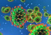 China virus epidemic—the Gong Show on roller skates Jan 23 by Jon Rappoport
