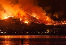 California & Australian Wildfires Exposed As “Controlled Burns” For Future High Speed Rail