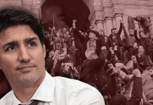 Has anyone seen our Prime Minister? by Candace Malcolm