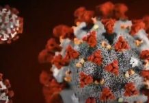 Tying It All Together: China, Dr. Fauci, French Company Sanofi Pasteur, George Soros and the Gates Foundation