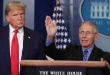 Trump retweets post calling for firing of Dr. Anthony Fauci