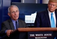 Fauci knew about HCQ in 2005 — nobody needed to die