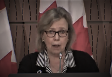 Disloyal: Green Party Sides With Chinese Communist Party, Demands Dropping Of Charges Against Meng Wanzhou