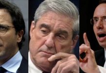 Deep State Is Panicking Over President Trump’s Commutation of Roger Stone Because His Appeal Will Reveal RUSSIA NEVER GAVE EMAILS TO WIKILEAKS