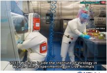 After Six Months of Exhaustive Investigative Work – Scientific Community Unable to Identify Natural Source of China Coronavirus