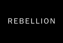 Rebellion rising; the people have had enough, by Jon Rappoport