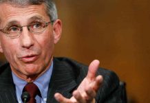 Fauci, smoking gun evidence, pandemic fraud; memo to Ohio Congressman Jim Jordan