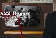 You Are Watching A Show, Moves & Countermoves, Establishment Panic – X22 Report