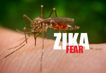 Zika was a warm-up for COVID; it didn’t fly, by Jon Rappoport
