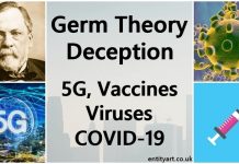 Rejecting Rockefeller Germ Theory once and for all, by Jon Rappoport