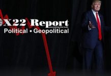 The System Of Control Is Being Exposed, Precipice Of Destruction, Trump “Do You Miss Me Yet”