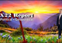 Transparency Brings Accountability, Freedom Thrives In The Light – X22 Report