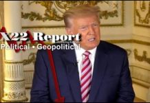 Trump Revealed Part Of The Plan, Hope, The Best Is Yet To Come