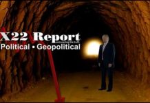 You Are Witnessing The Offensive, They Are Divided, There Is Light At The End Of The Tunnel