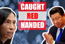 BREAKING: Seven Canadian virologists with Top Secret clearance worked with Chinese military, by Keean Bexte