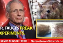 The Silent War: Georgia 2020 Audit Coming?! Culture in Crisis, CDC SuicideVax Fraud – Dustin Nemos