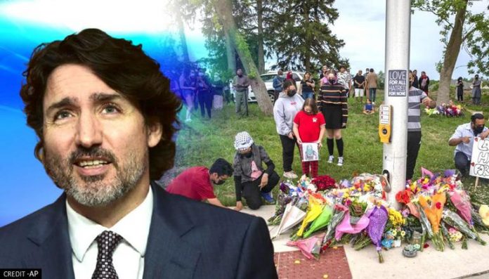 SunnyWaywith liar jt