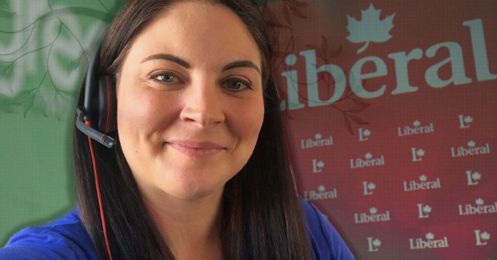 website-janica-696x365