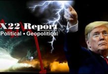 Trap Set, These People Are Stupid, Do You See The Storm Forming, Panic In DC