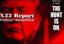 The Hunters Have Now Become The Hunted, Pain, Nothing Can Stop This