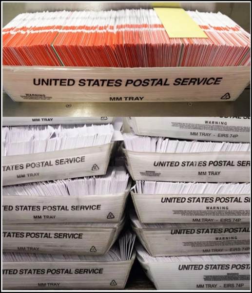 Georgia-Ballot-Counting-Composite-2-517x600 (1)