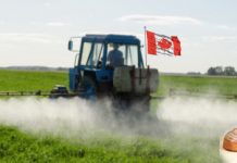 Big Ag Pressures Canada to Raise Allowable Glyphosate Levels on Food During Health Crisis