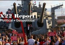 MI, No Such Agency Are The Key, Trump & The People Are The Stone, Unity Is Strength