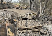 US Faces Intense Heat Wave as Wildfires Ravage West Coast