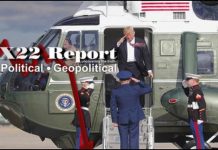 If America Falls, The World Falls, It Had To Be Done Right, According To The Rule Of Law – X22 Report